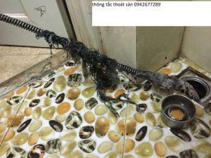dịch vụ thông tắc thoát sàn